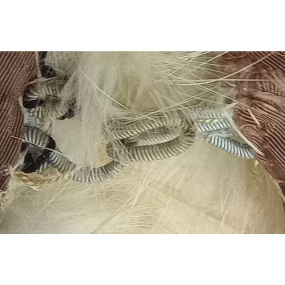 Vintage animal fur collar, shawl , wrap - Picture 5 of 9